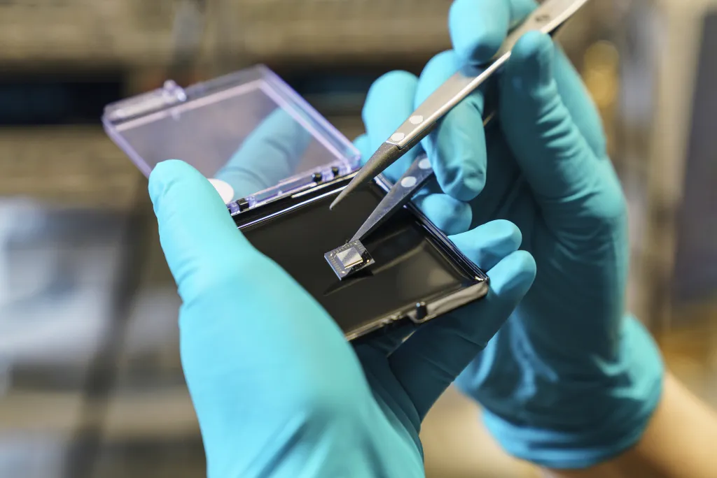 A quantum computing chip.